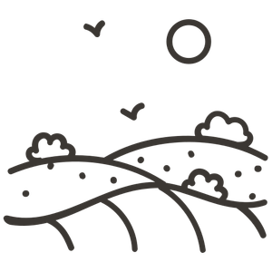 Dintorni